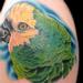 Tattoos - PARROT - 54466