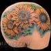 Tattoos - SUNFLOWERS - 68262