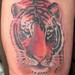 Tattoos - TIGER - 53174