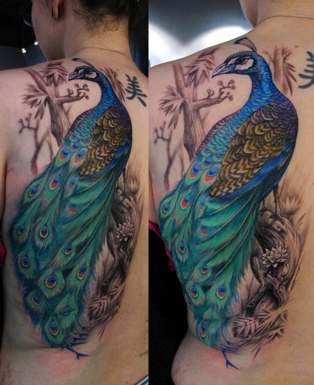 Stefano Alcantara - Peacock tattoo