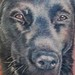 Tattoos - color portrait K9 police dog  - 41066