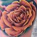 Tattoos - yellow rose by johnny smith - 68408