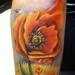 Tattoos - freehand poppy - 71803