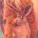 Tattoos - jackalope - 71795