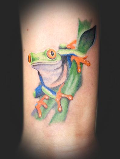 Chad Newsom - Red-eyed Tree Frog