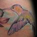 Tattoos - Hummingbird Drinking - 60752