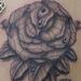 Tattoos - rose - 72029