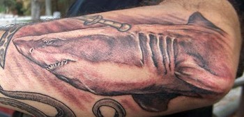 Evan Olin - Realistic Shark Tattoo