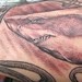 Tattoos - Realistic Shark Tattoo - 35265