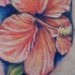 Tattoos - hibiscus flowers - 35559