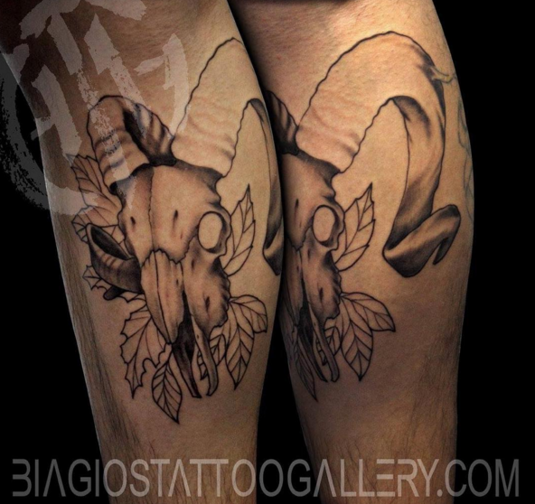 in progress animal skull by austin rinaldi tattoos in progress animal skull by austin rinaldi tattoos