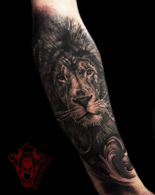 realism lion in black and grey by brenna mclaughlin realism lion in black and grey by brenna mclaughlin