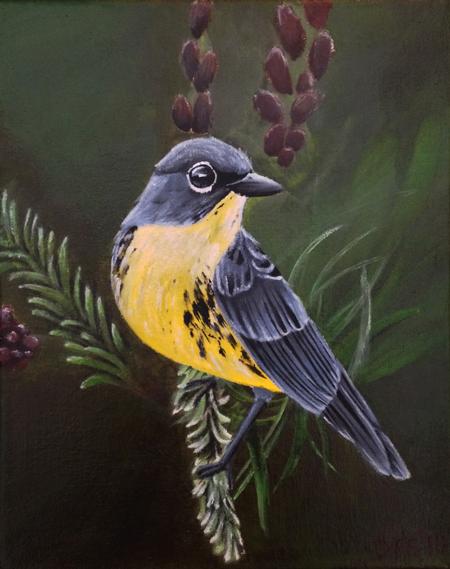 Tattoos - Kirtland's warbler - 106842