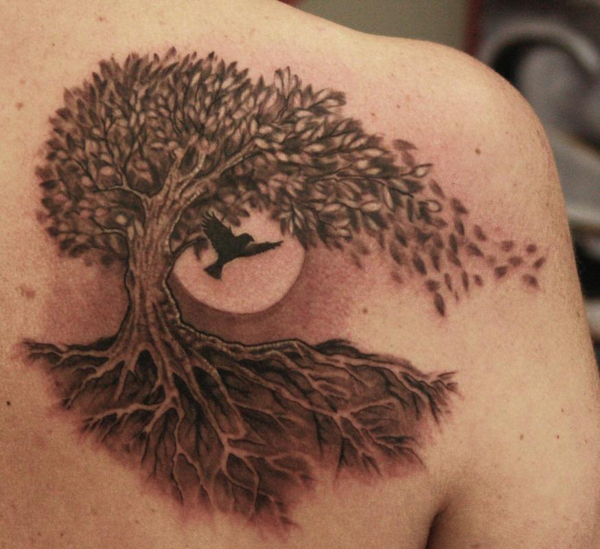 Edward Lott @ Off The Map Tattoo : Tattoos : Nature Tree : Tree and bird on  shoulder blade