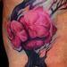 Tattoos - cherry blosssom - 59231