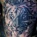 Tattoos - tiger - 74024