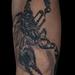 Tattoos - Tatuaggio Scorpione, scorpion tattoo - 80125