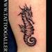 Tattoos - Tattoo Cavalluccio marino, seahorse tattoo - 84416