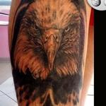 Tattoos - Tattoo Aquila /Eagle Tattoo - 105090