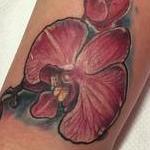 Tattoos - pink orchid - 114261