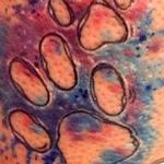 Tattoos - aquarell paws - 110173