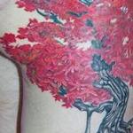 Tattoos - Tree - 103729