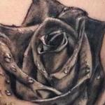 Tattoos - Black rose - 100920