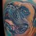 Tattoos - Dog, cane,Boxer - 79970