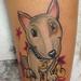 Tattoos - little bull terrier - 75922