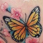 Tattoos - butterfly  - 104593