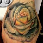 Tattoos - healed rose - 114414