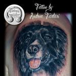 Tattoos - Cane Realistico - 100372