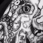 Tattoos - Octopus in progress - 113828