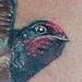 Tattoos - tatuaggio rondini,tattoo swallow - 84581