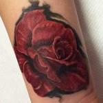 Tattoos - Redrose - 114109