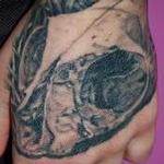 Tattoos - Cat skull - 112022