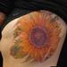 Tattoos - Sunflower tattoo - 69410