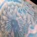 Tattoos - Dandilyon flower color tattoo - 75790