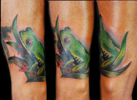 Justin Buduo - Red Eye Tree Frog