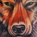 Tattoos - red wolf - 53210