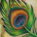 Tattoos - peacock feathers - 47911