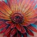 Tattoos - red daisy - 47559