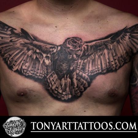 Tattoos - Owl chest piece  - 108406