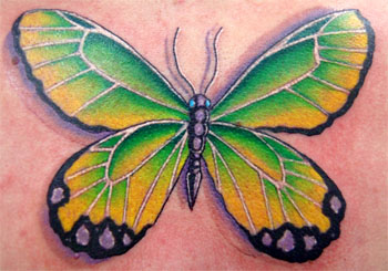 Trent Edwards - butterfly on back
