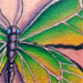 Tattoos - butterfly on back - 28215