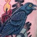 Tattoos - crow and book - 52128