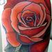 Tattoos - rose - 65035