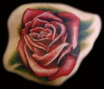 A Realistic Rose