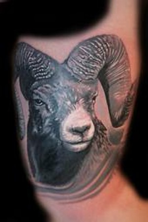 bighorn sheep tattoo