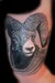 Tattoos - Big Horned Sheep - 35051